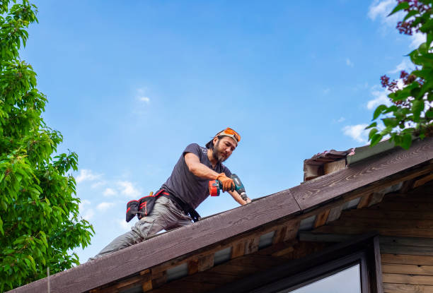 Best 4 Ply Roofing  in Jacksboro, TN